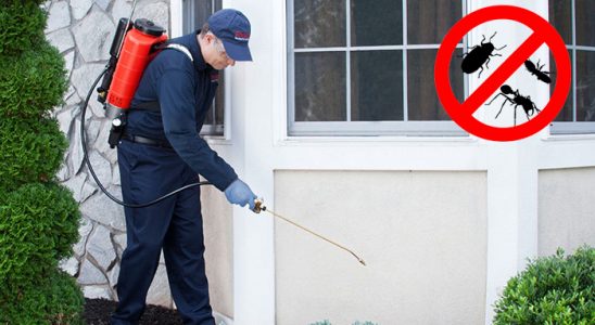 Doğanyol Tahtakurusu İlaçlama böcek ilaçlama ve haşere kontrolü — ilaclama-tr.com